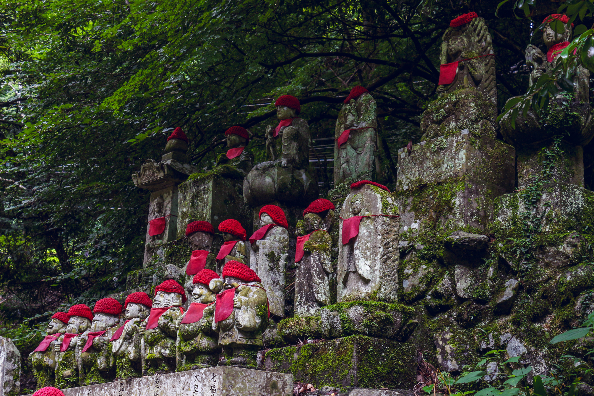 Trek to Mt. Takao