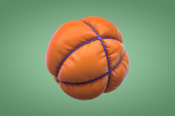 inflated_balloonB_v001